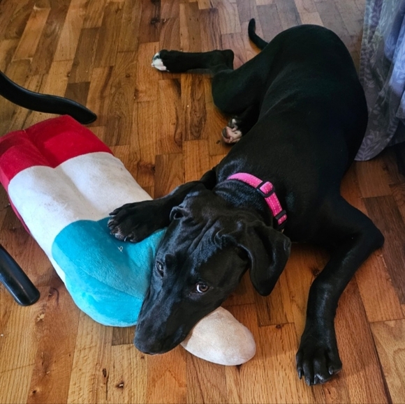 Meet your Posher, Megan! - Picture 2 of 7